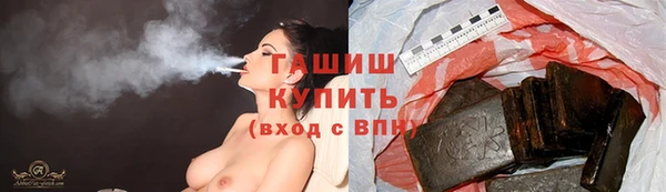 дживик Краснослободск