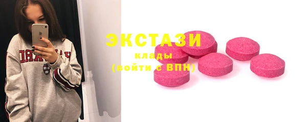 дживик Краснослободск
