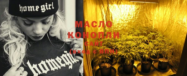 дживик Краснослободск