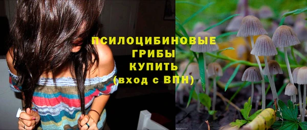 дживик Краснослободск