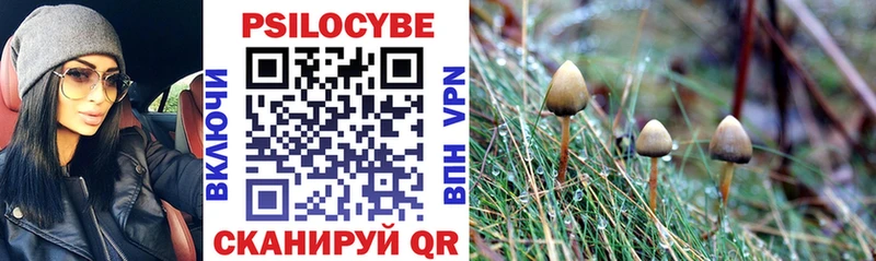 Купить закладки  Луза  Псилоцибиновые грибы Psilocybine cubensis 