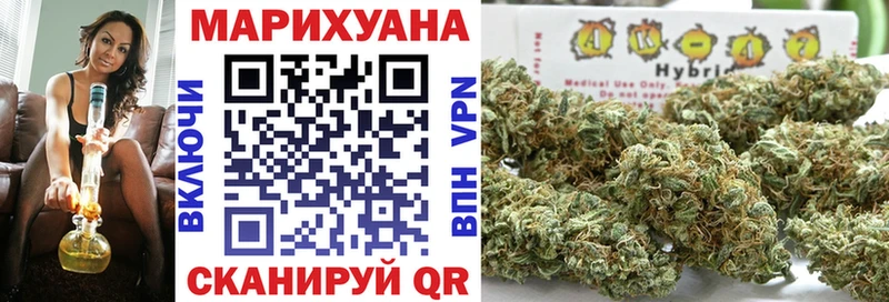 Канабис гибрид  Купить где  Луза 